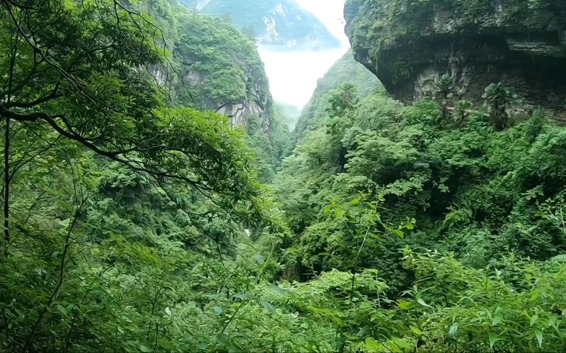 鹿院坪